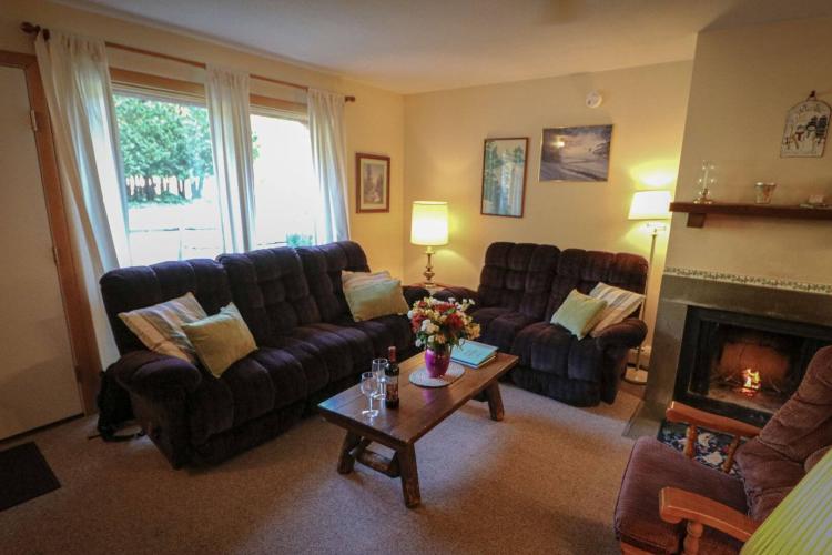 a small, cozy living room with a plush couch and love seat facing a wooden coffee table