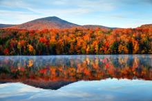 mountain view of bright fall foliage in Vermont