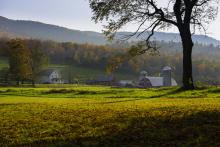 Vermont farms and orchards 
