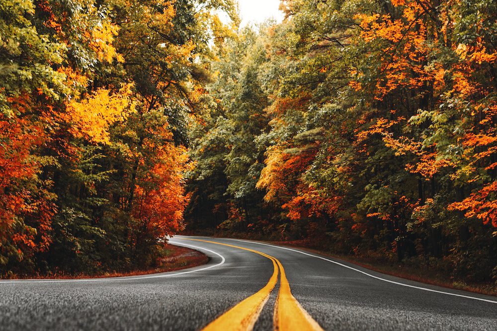 autumnal road in new england